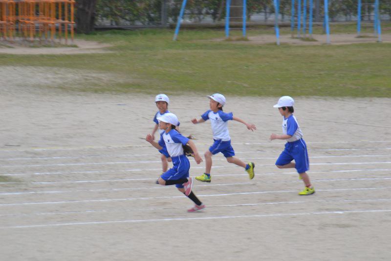 縮DSC_0010.jpg