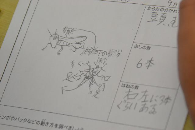 縮DSC_0013.jpg