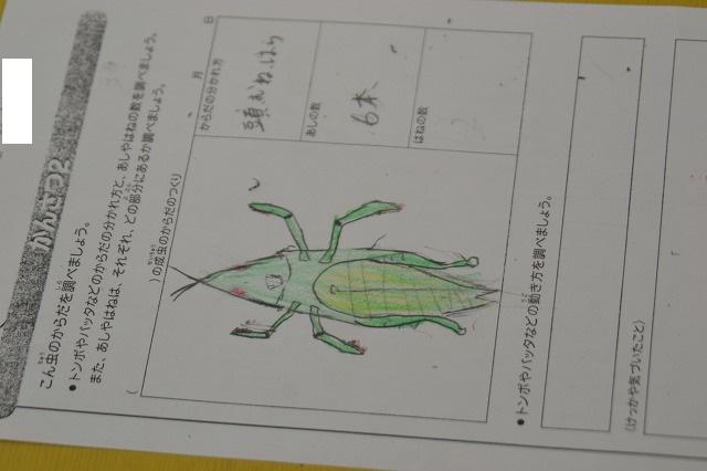 縮DSC_0016.jpg