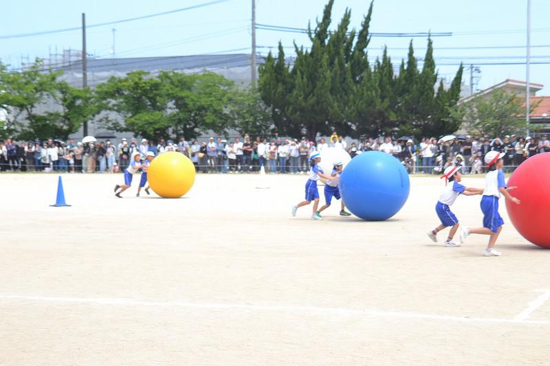 縮DSC_0330.jpg