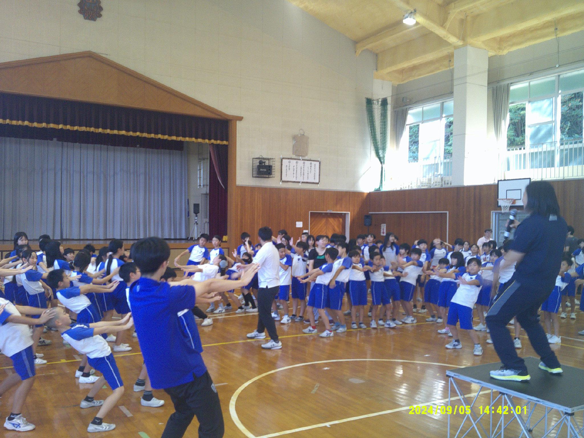 DSCF0243.JPG