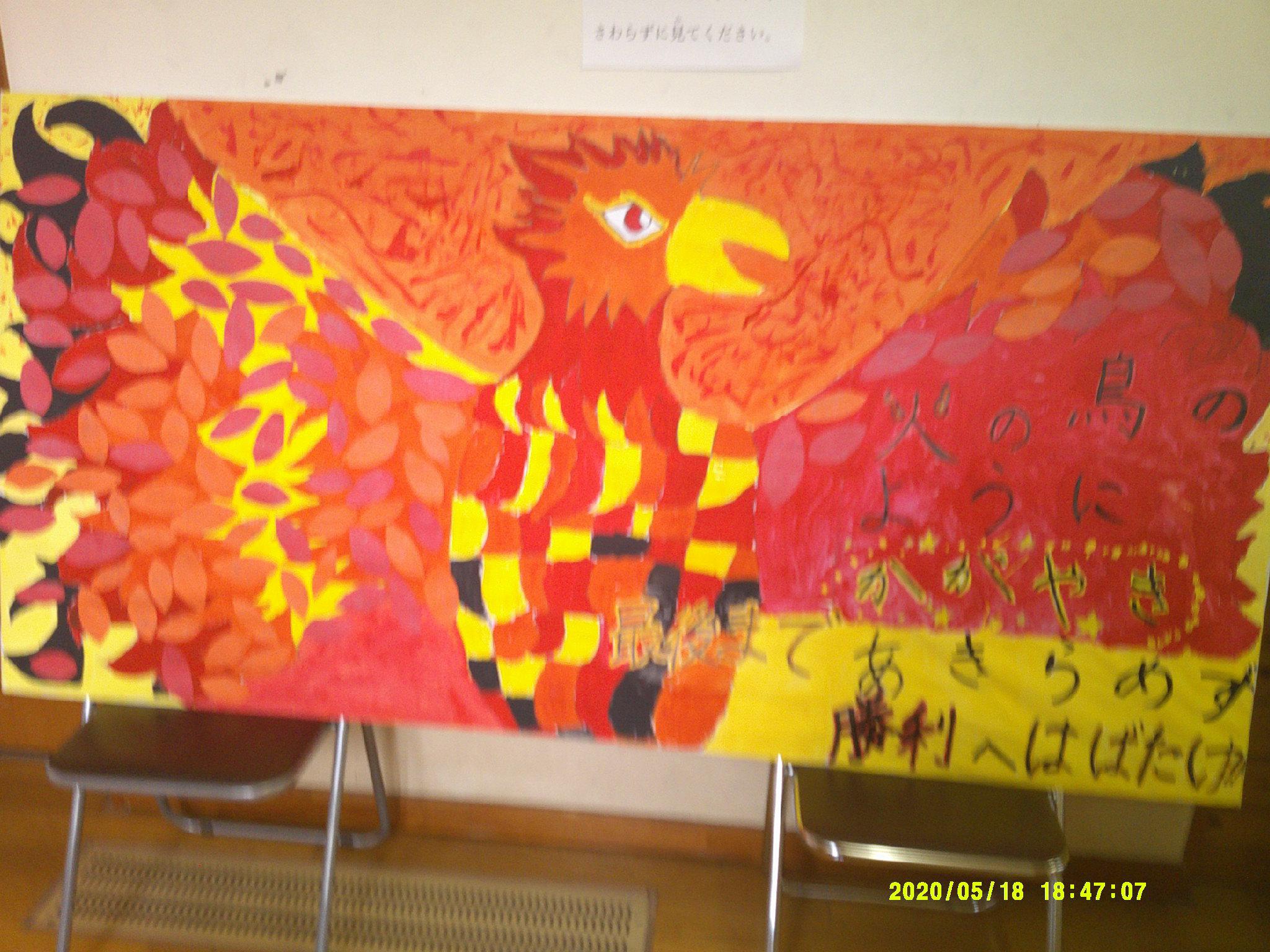 DSCF0353.JPG