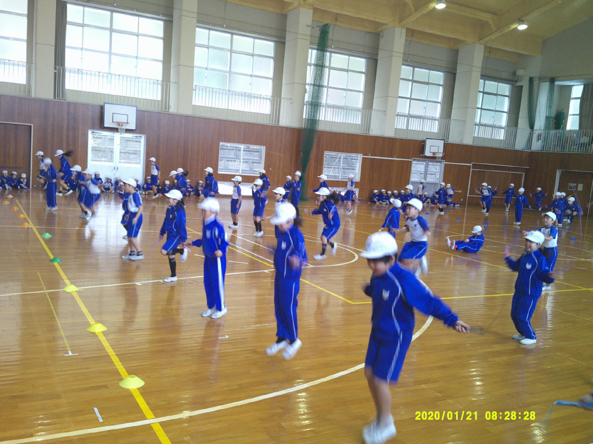 DSCF0503.JPG