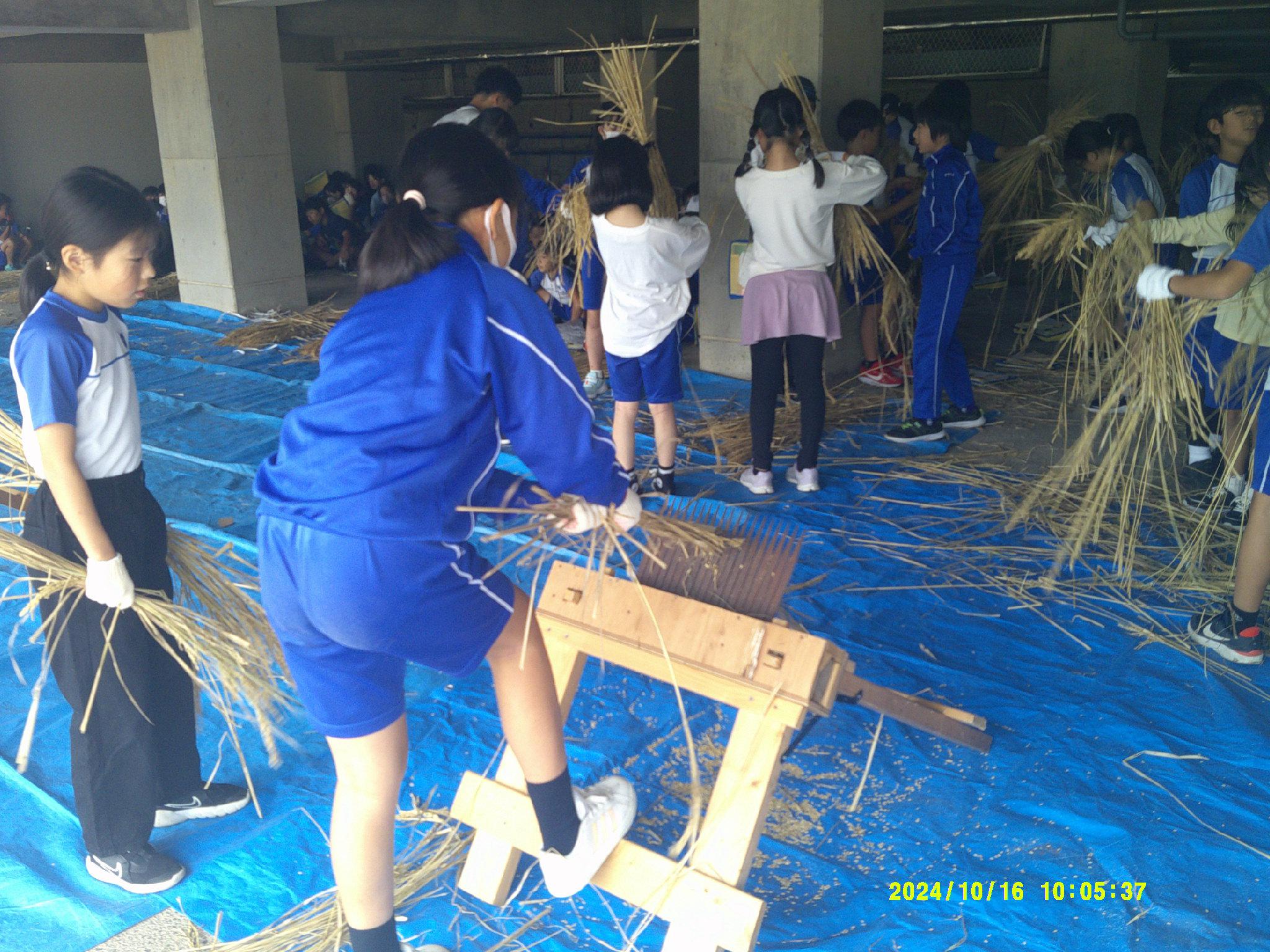 DSCF0745.JPG