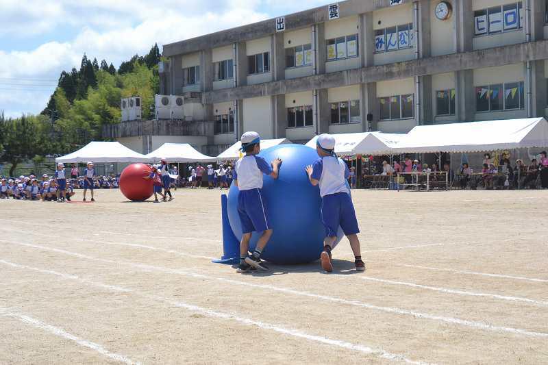 DSC_0370.jpg
