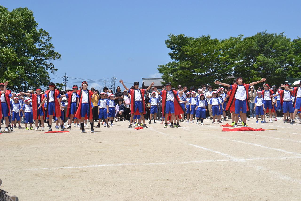 DSC_0446.jpg