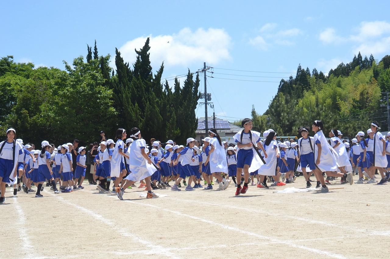 DSC_0483.jpg