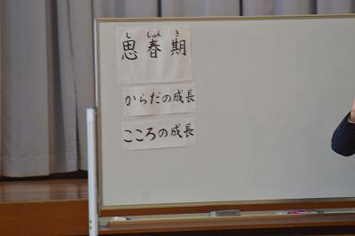 DSC_0009.jpg