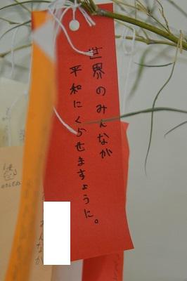 DSC_0009.jpg