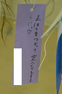 DSC_0012.jpg