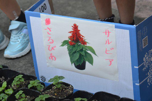 縮DSC_0027.jpg