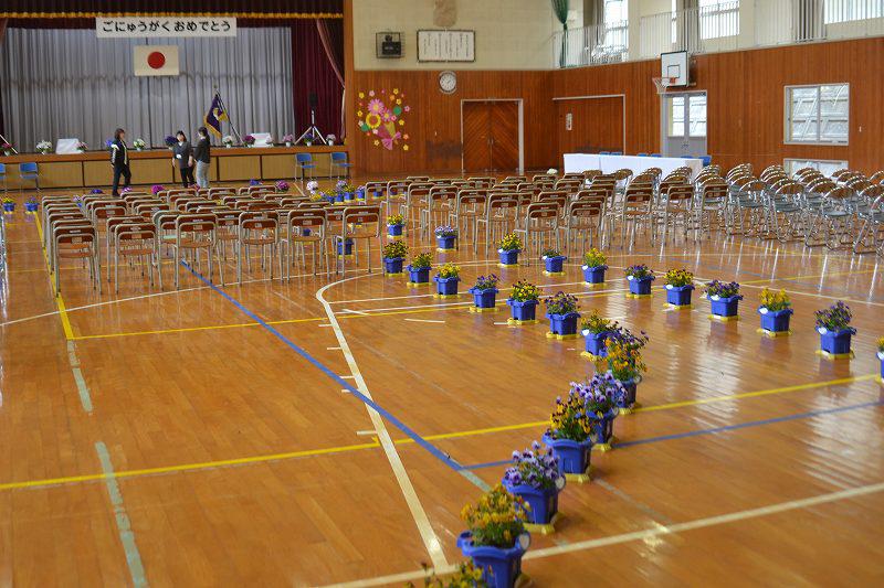 縮DSC_0005.jpg