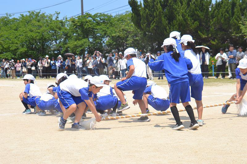 縮DSC_0414.jpg