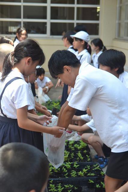 縮DSC_0030.jpg