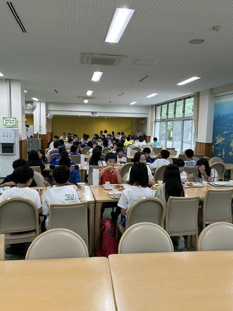 image8.jpeg
