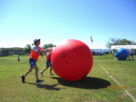 IMG_3228.JPG