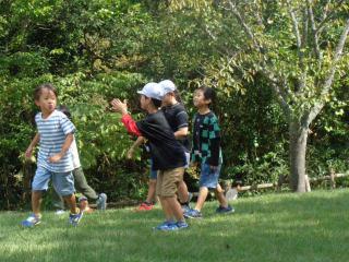 DSC00046.JPG