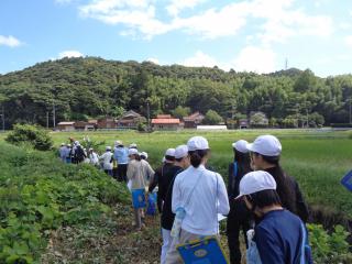 DSC02894.JPG