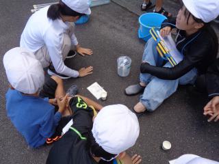 DSC02895.JPG