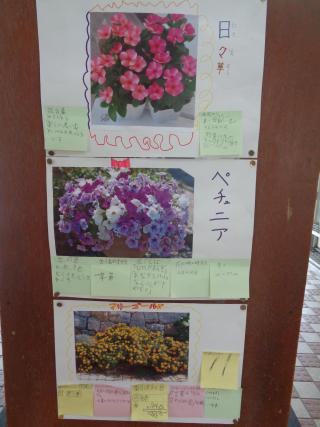 DSC03014.JPG