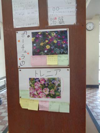 DSC03015.JPG