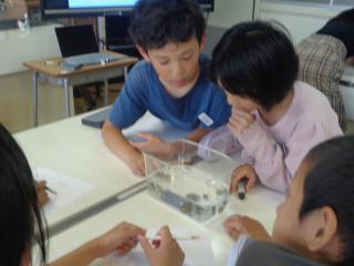 DSC03024.JPG
