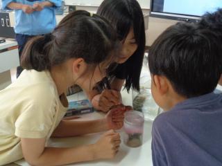 DSC03032.JPG