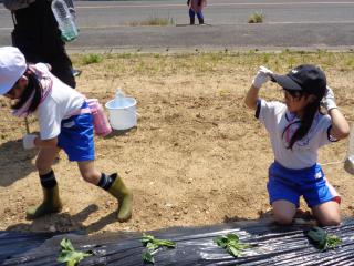DSC03518.JPG