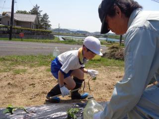 DSC03521.JPG