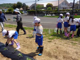 DSC03530.JPG