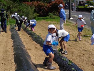 DSC03532.JPG