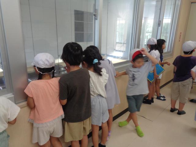 DSC03826.JPG