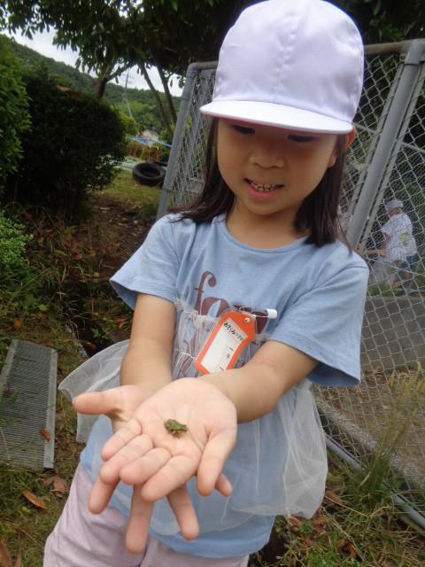DSC043250.JPG
