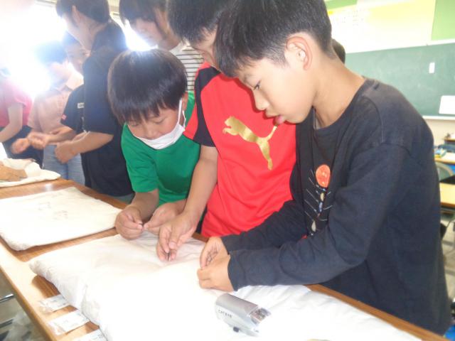 DSC04393.JPG