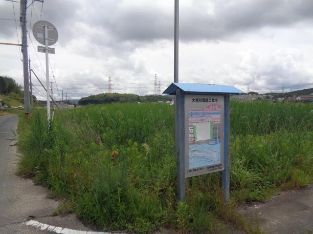 DSC04409.JPG