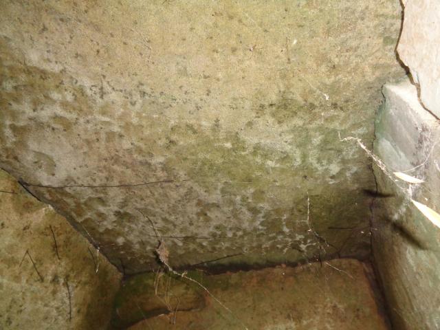 DSC04422.JPG