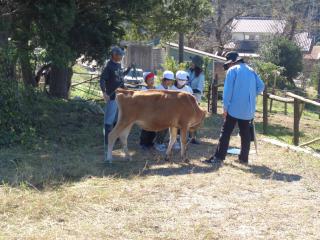 DSC05255.JPG