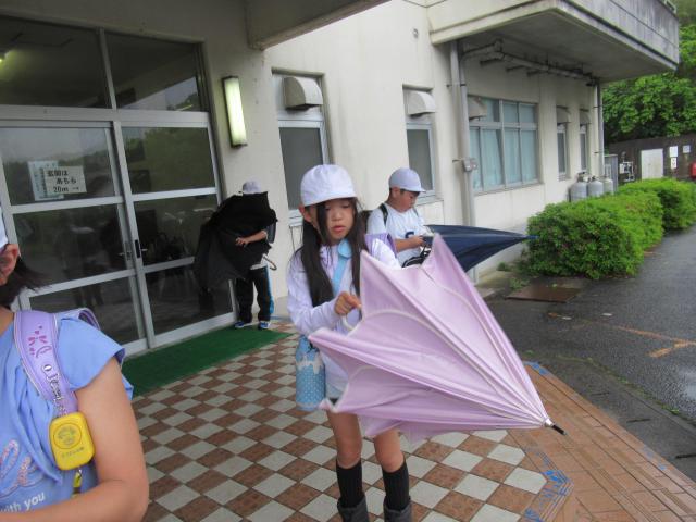 IMG_0001.JPG
