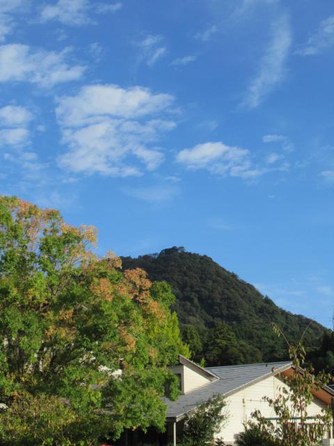 IMG_0001.JPG