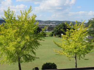 IMG_0002.JPG