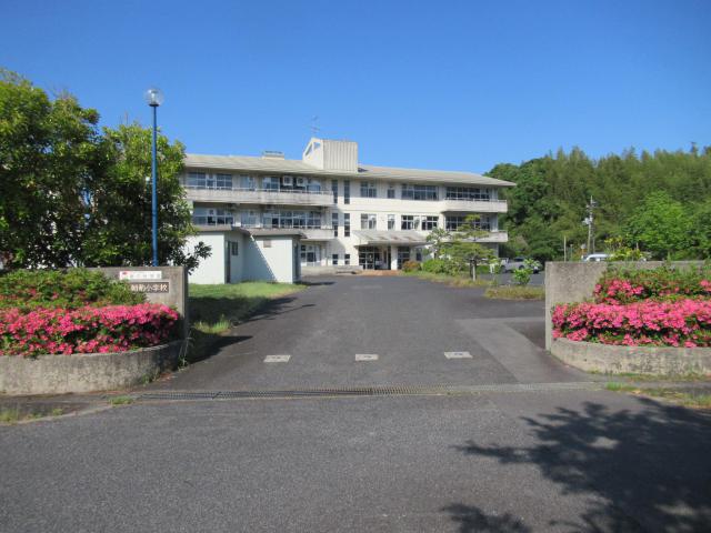 IMG_0003.JPG