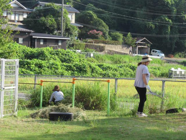 IMG_0004.JPG