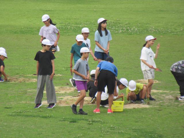 IMG_0005.JPG