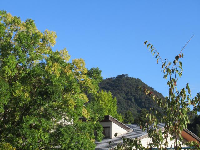 IMG_0006.JPG