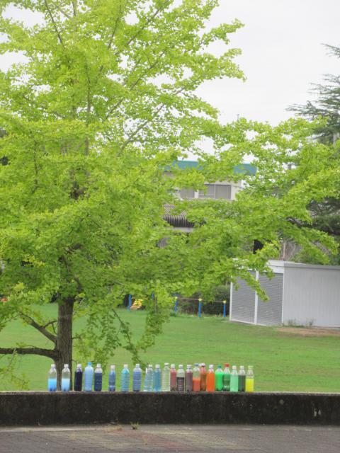 IMG_0007.JPG