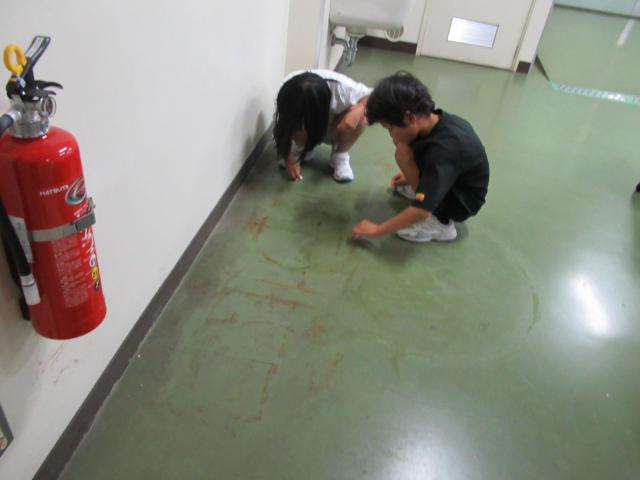 IMG_0007.JPG