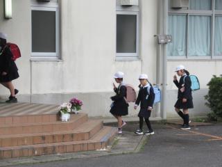 IMG_0009.JPG