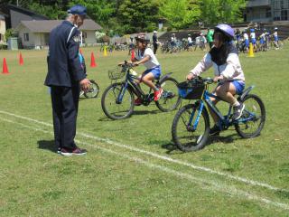 IMG_0011.JPG