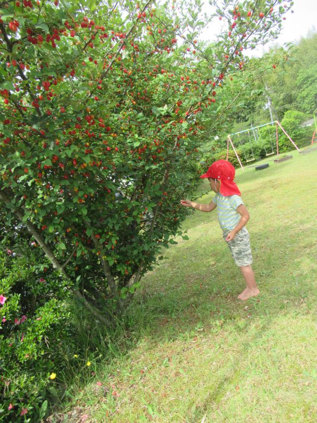 IMG_0013.JPG