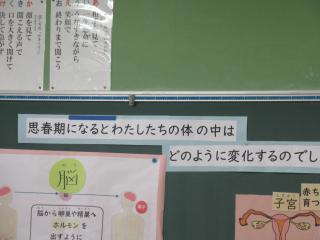 IMG_0014.JPG